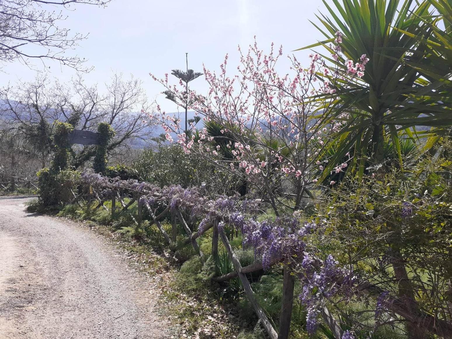 Barone Montefeo Country house Librizzi