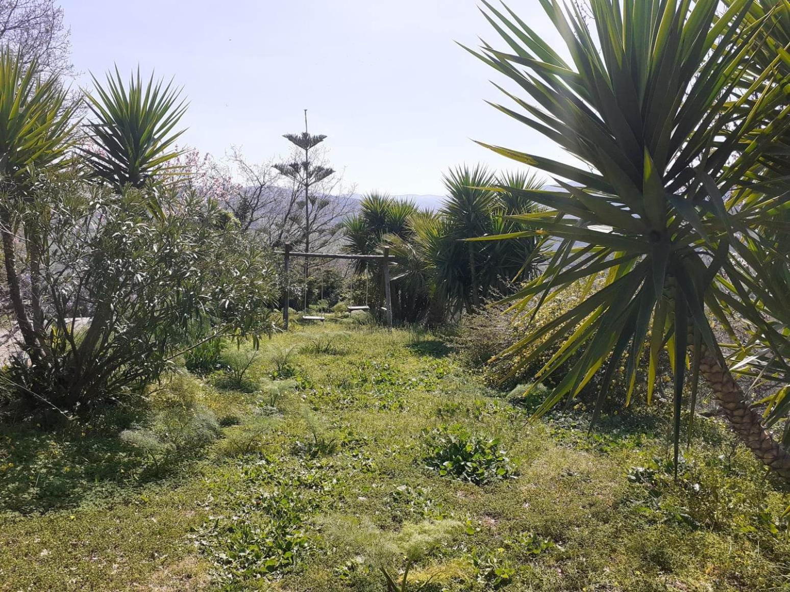Country house Barone Montefeo Librizzi